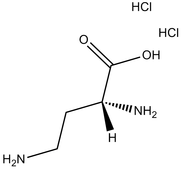 H-D-Dab-OH.2HCl