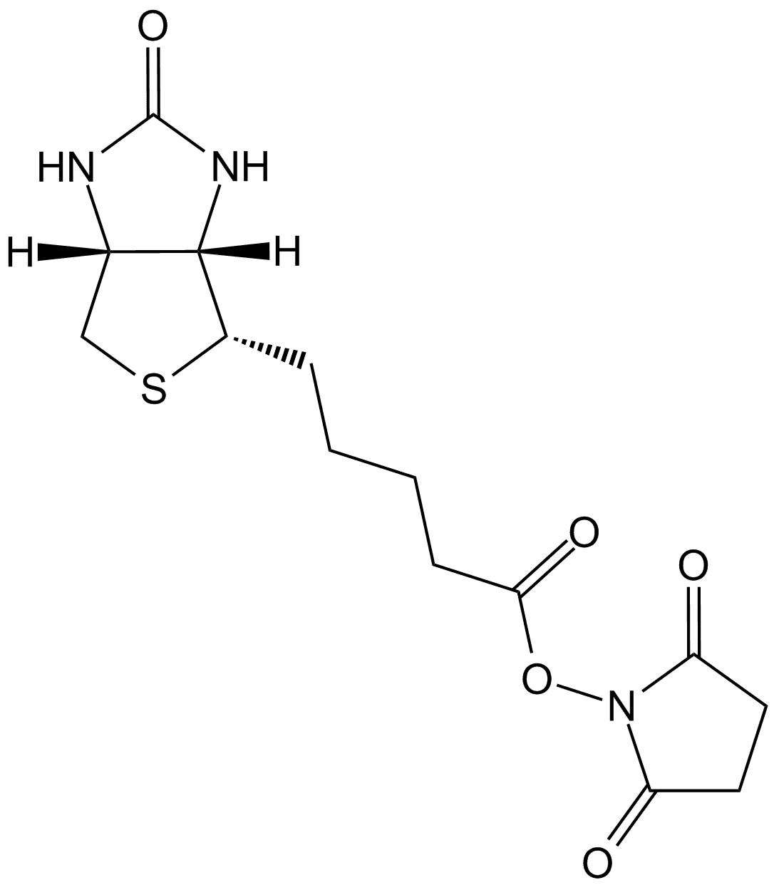 NHS-Biotin