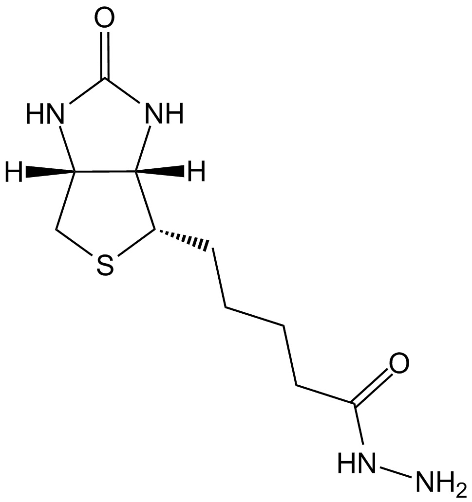 Biotin Hydrazide