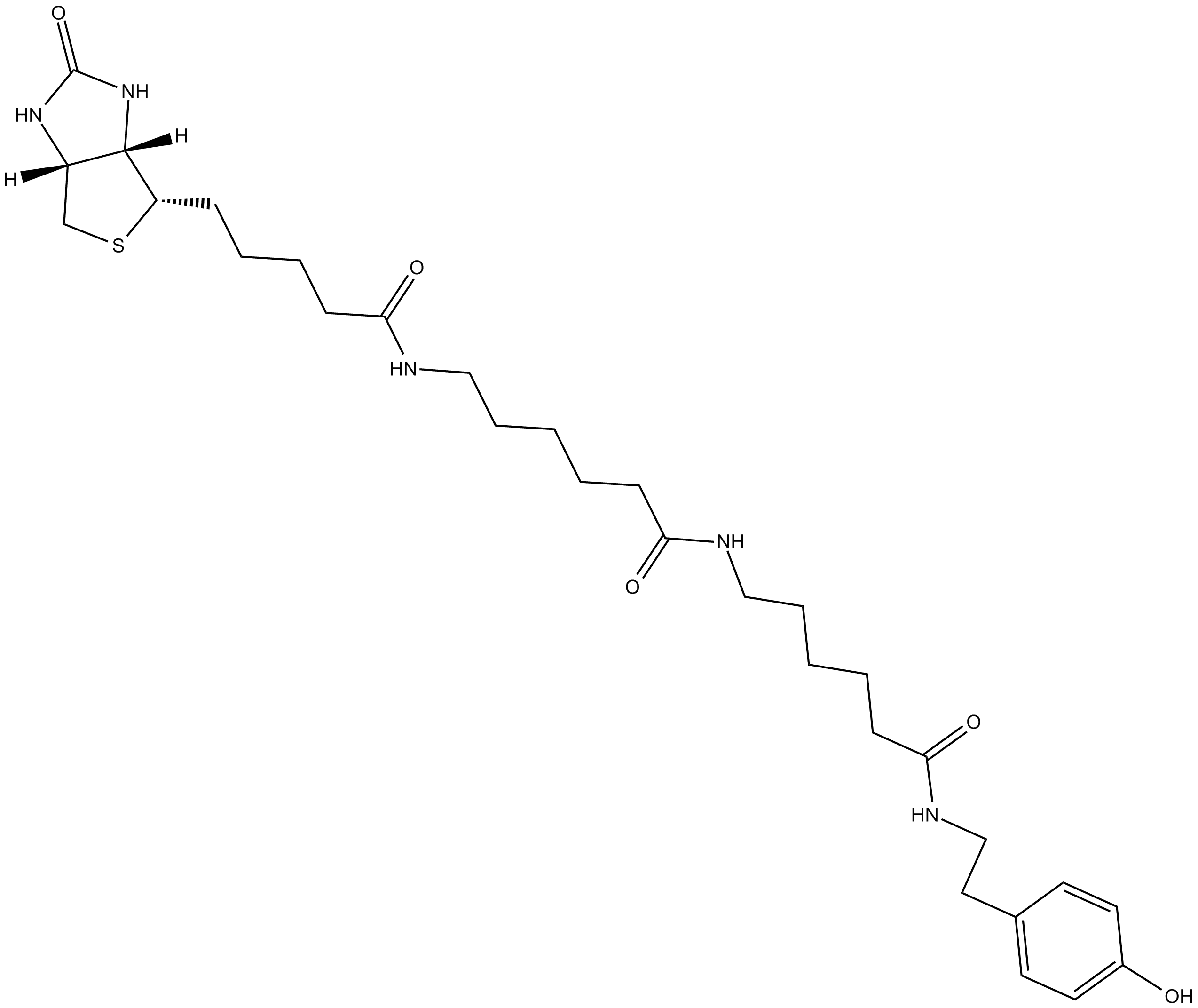 Biotin-XX Tyramide Reagent