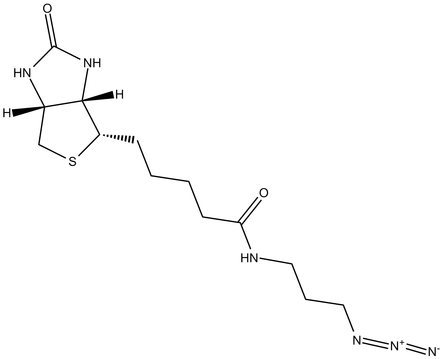 Biotin-azide