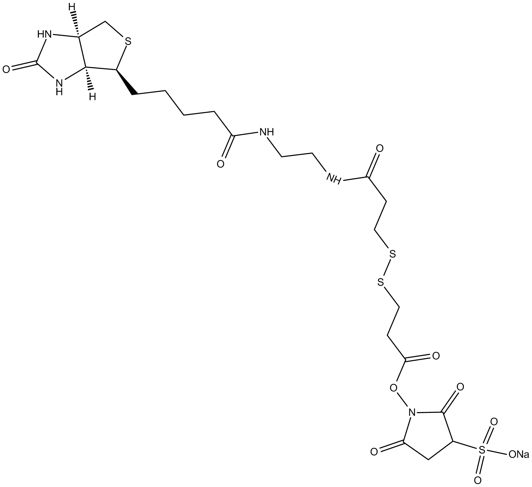Sulfo-NHS-SS-11-Biotin