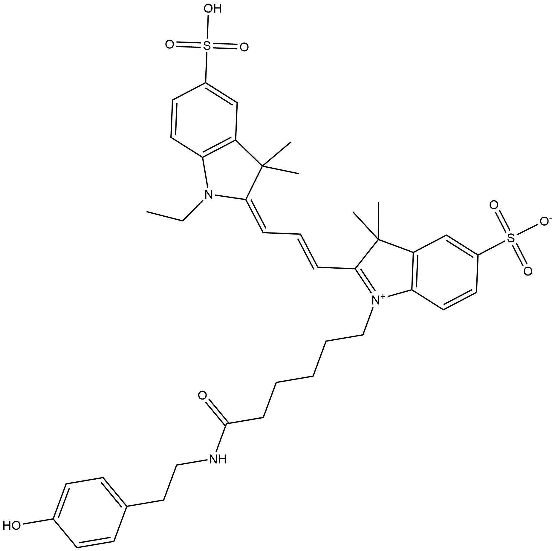 Cyanine 3 Tyramide