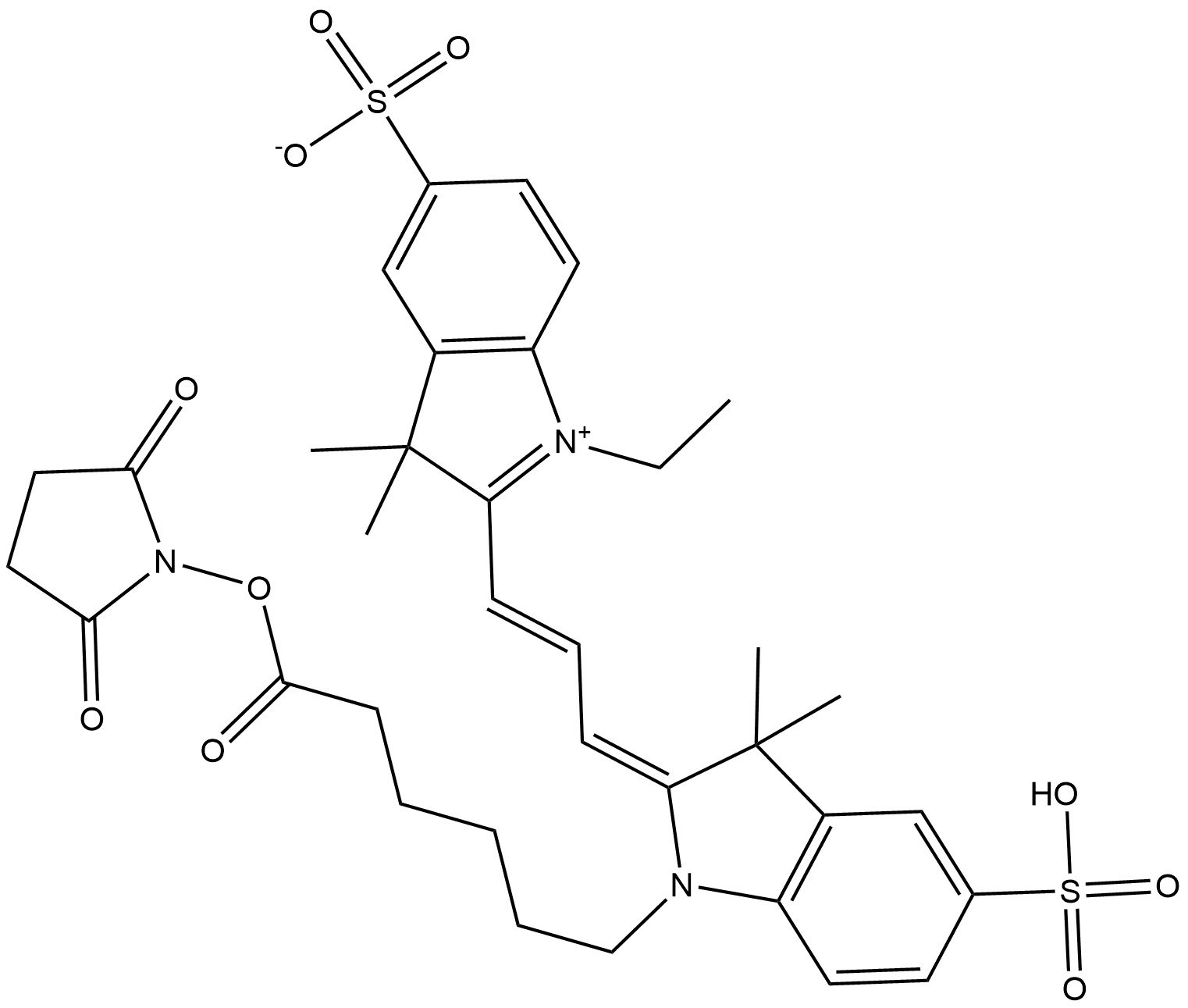 Cy3 NHS ester
