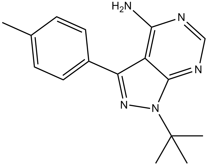 PP 1