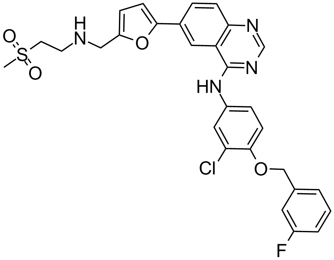 Lapatinib