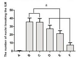 生物相关数据