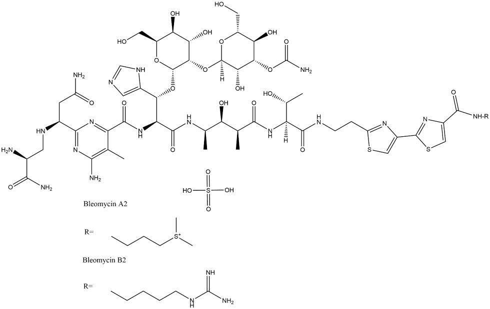Bleomycin Sulfate