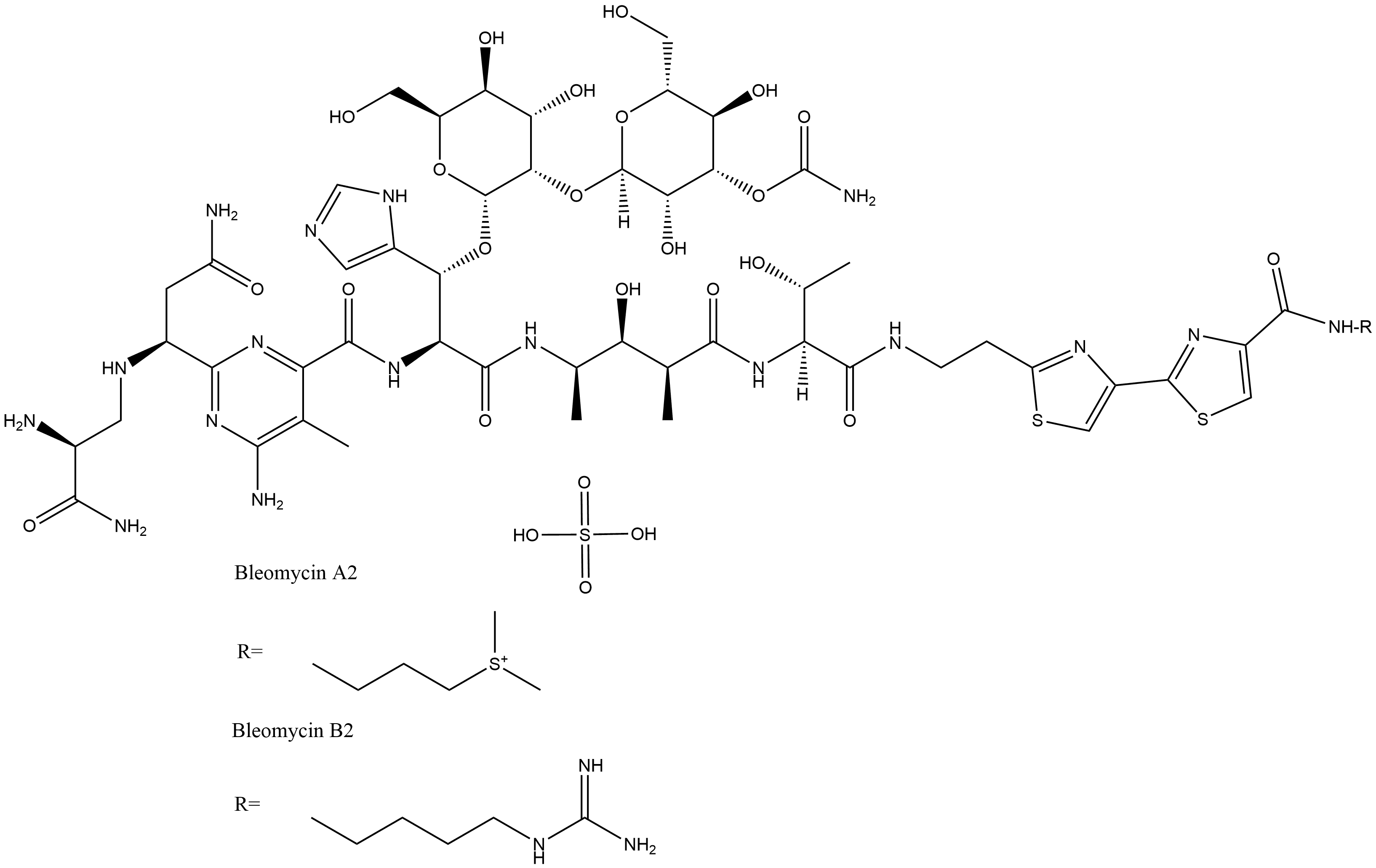 Bleomycin Sulfate