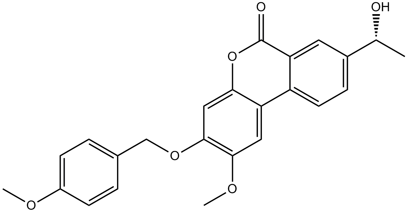 Palomid 529