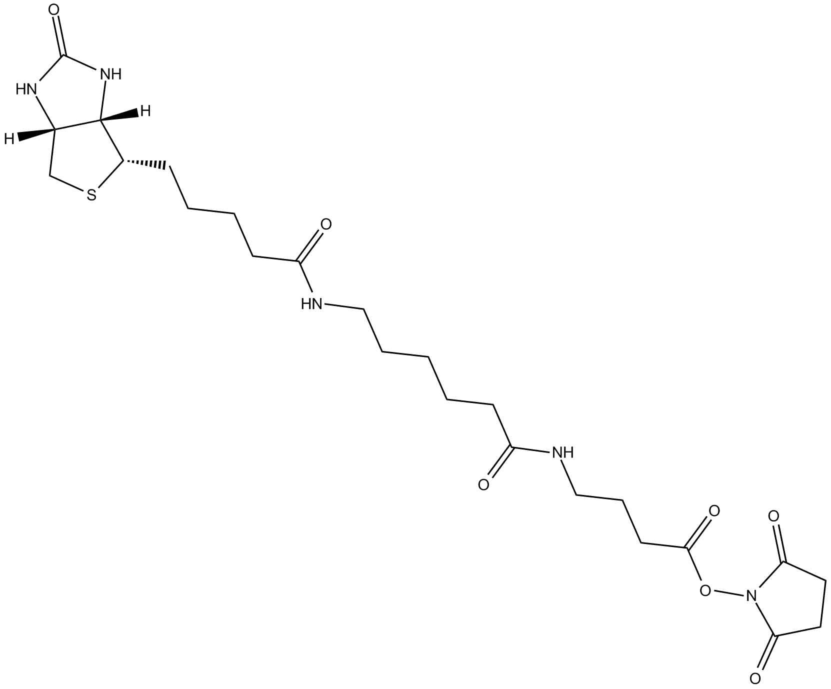 NHS-12-Biotin
