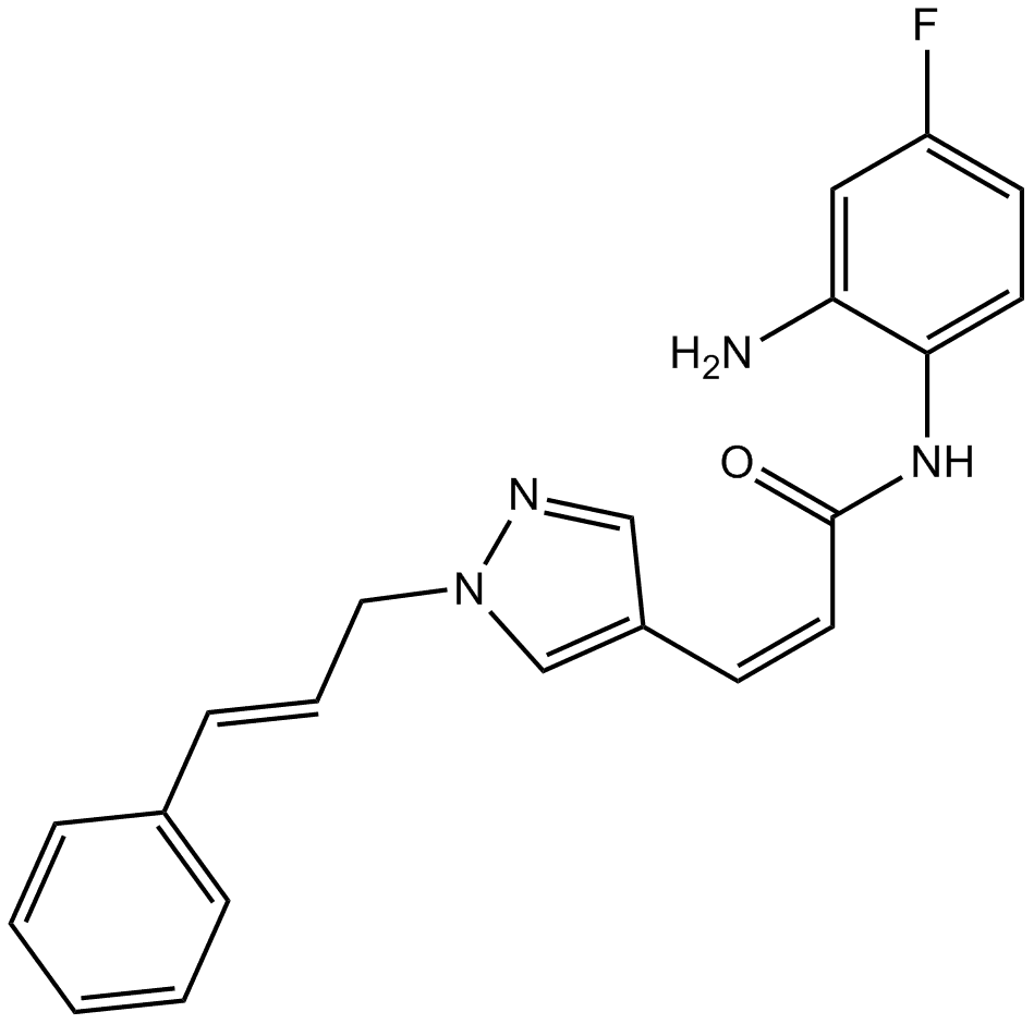 RGFP966