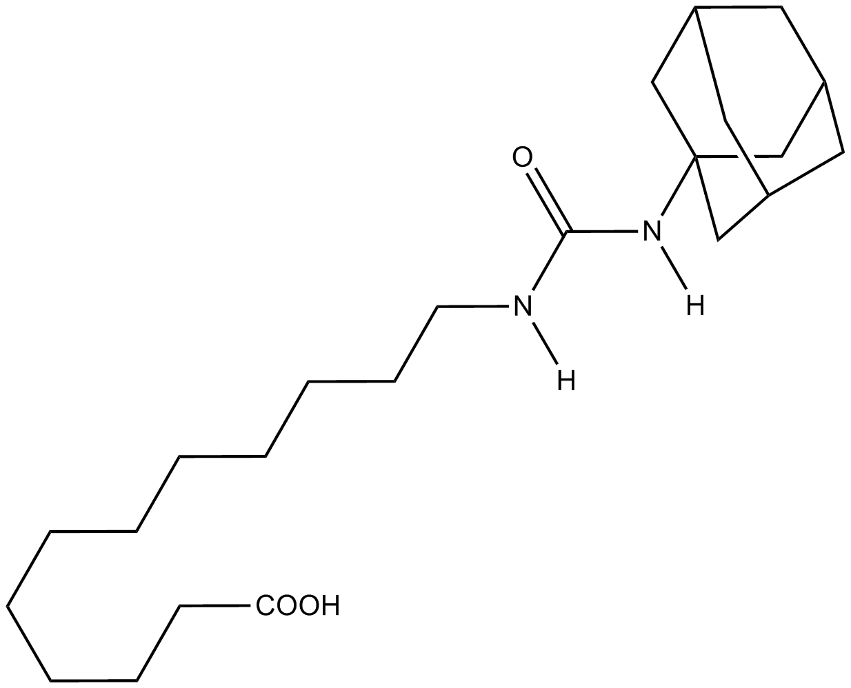 AUDA