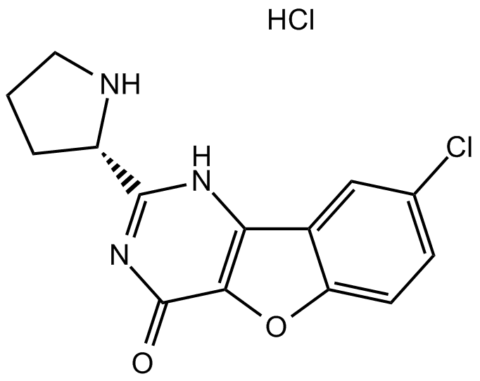 XL413 hydrochloride