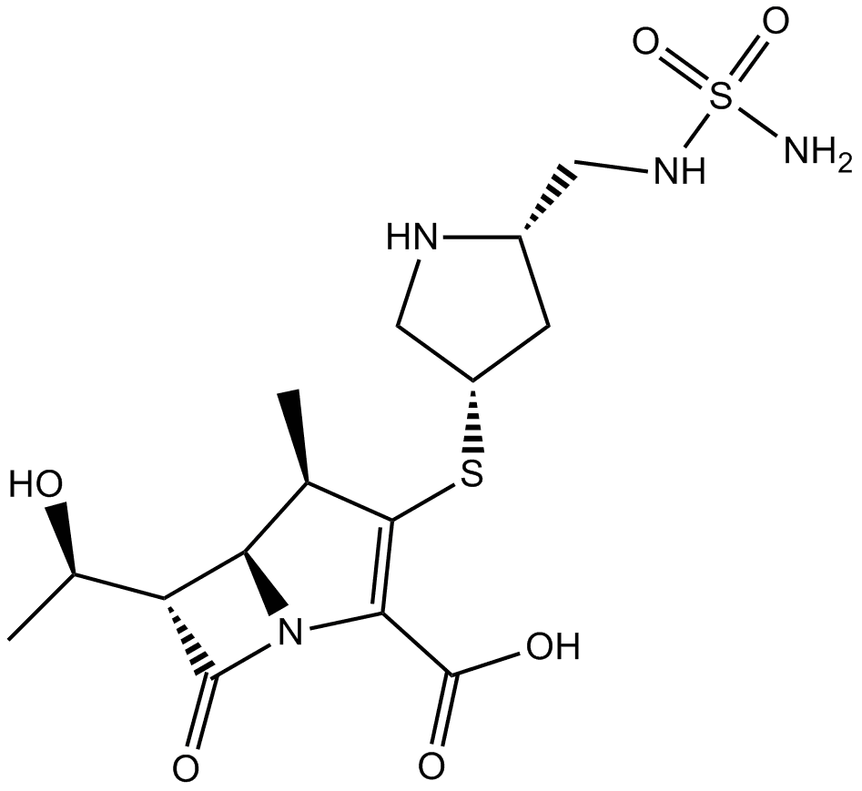 Doripenem