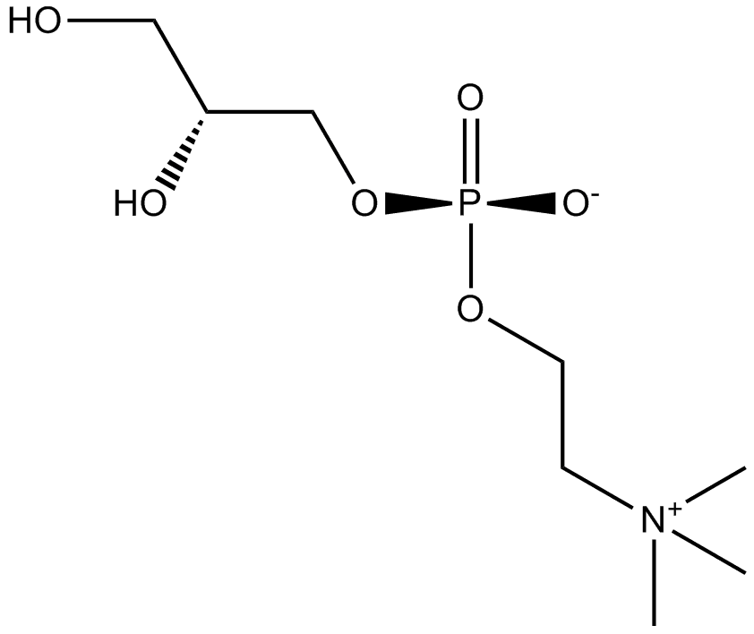sn-Glycero-3-phosphocholine
