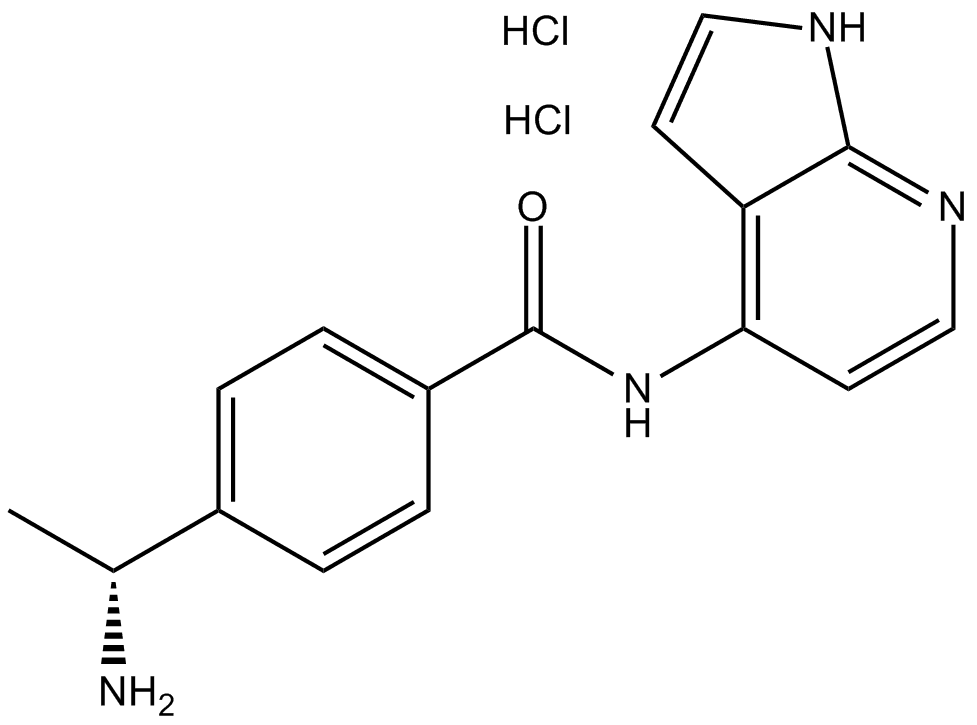 Y-39983 dihydrochloride