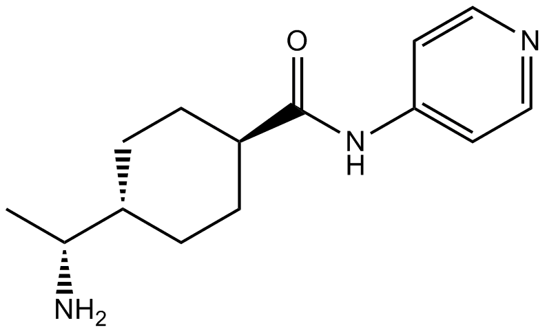 Y-27632