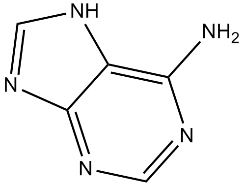 Adenine