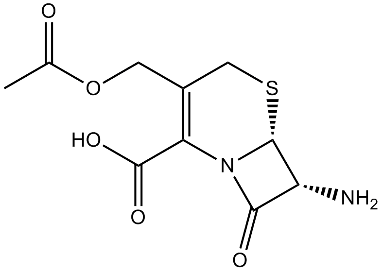7-Aminocephalosporanic acid