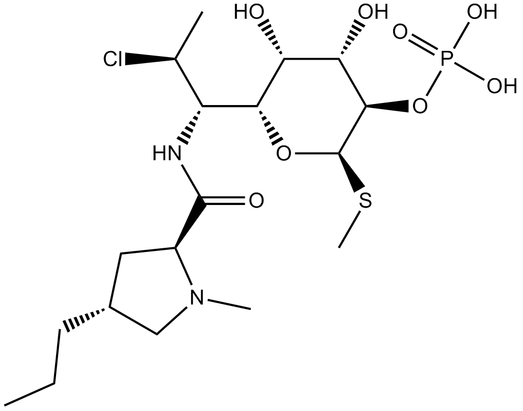 Clindamycin Phosphate