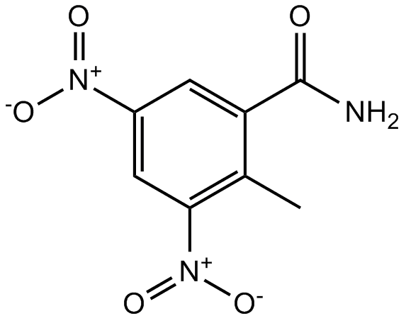 Dinitolmide