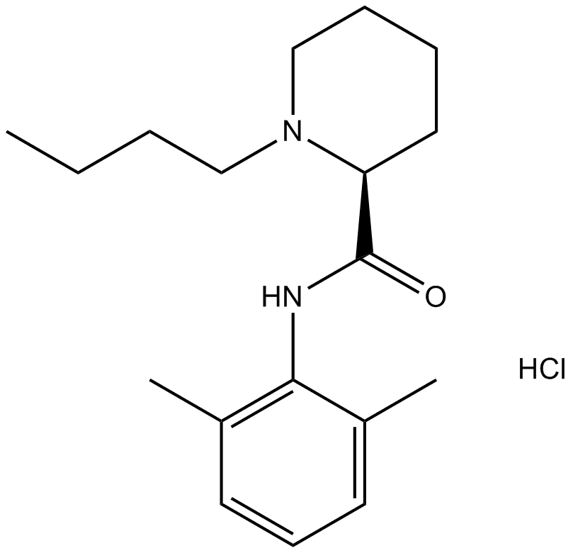 Levobupivacaine HCl