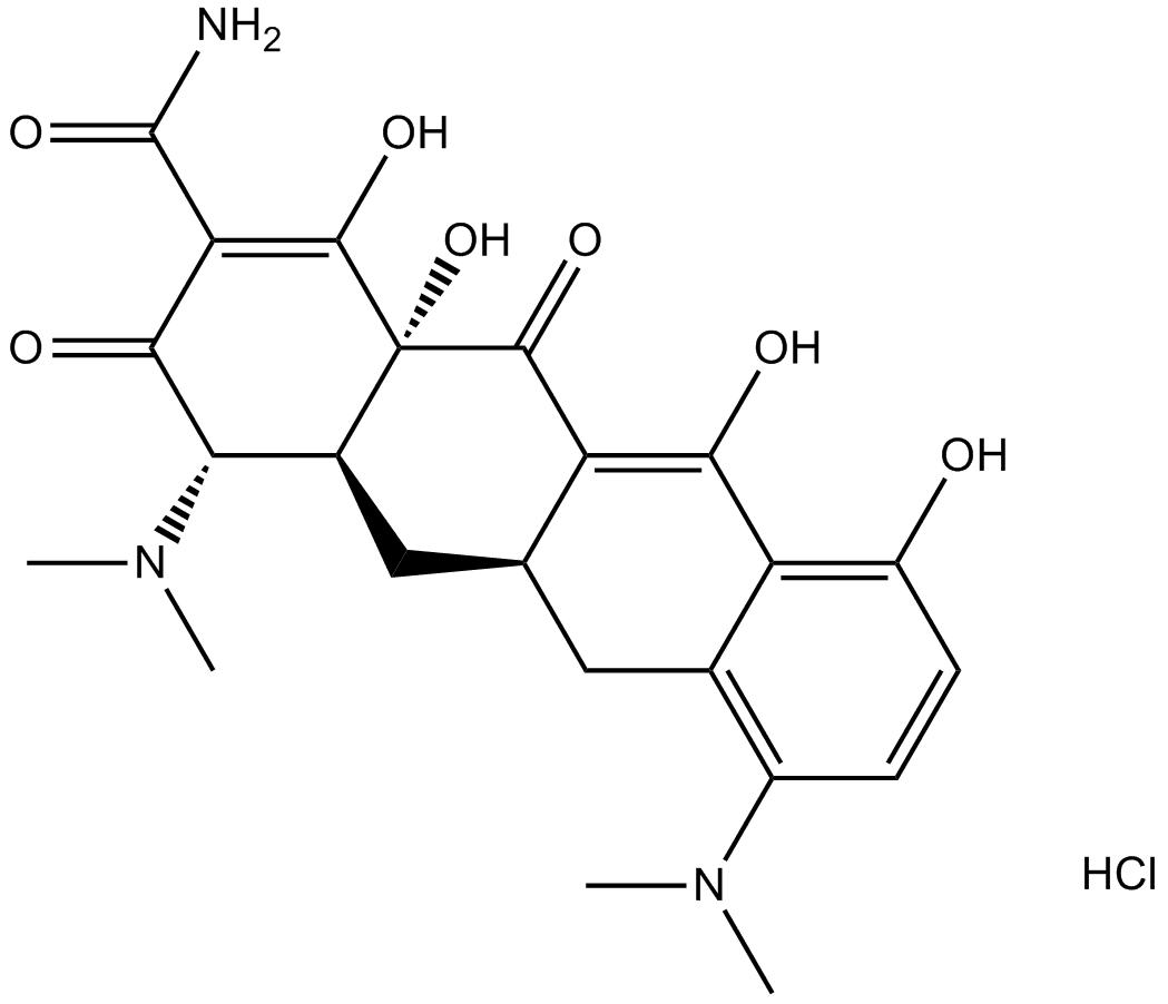 Minocycline HCl