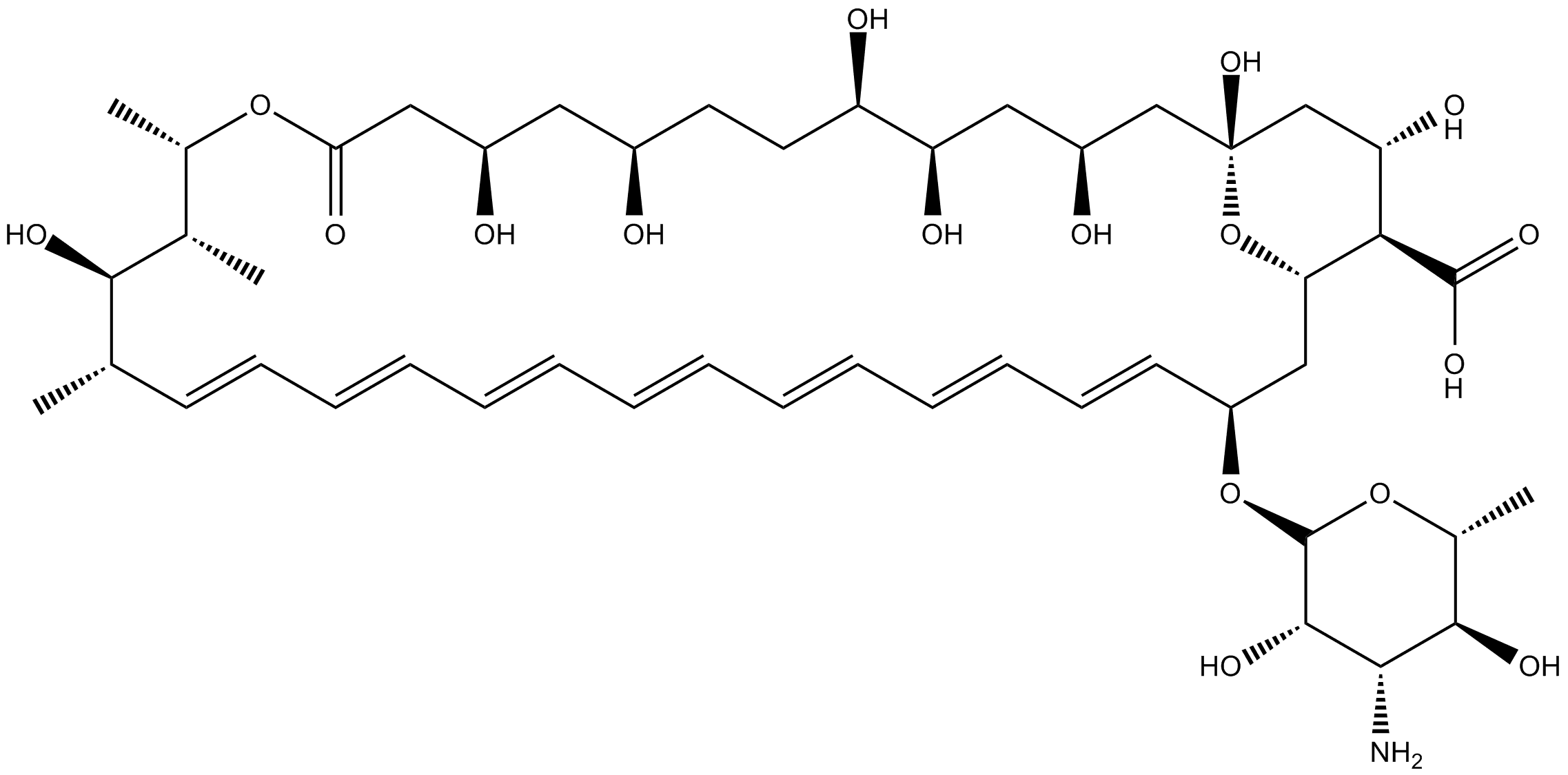 Amphotericin B