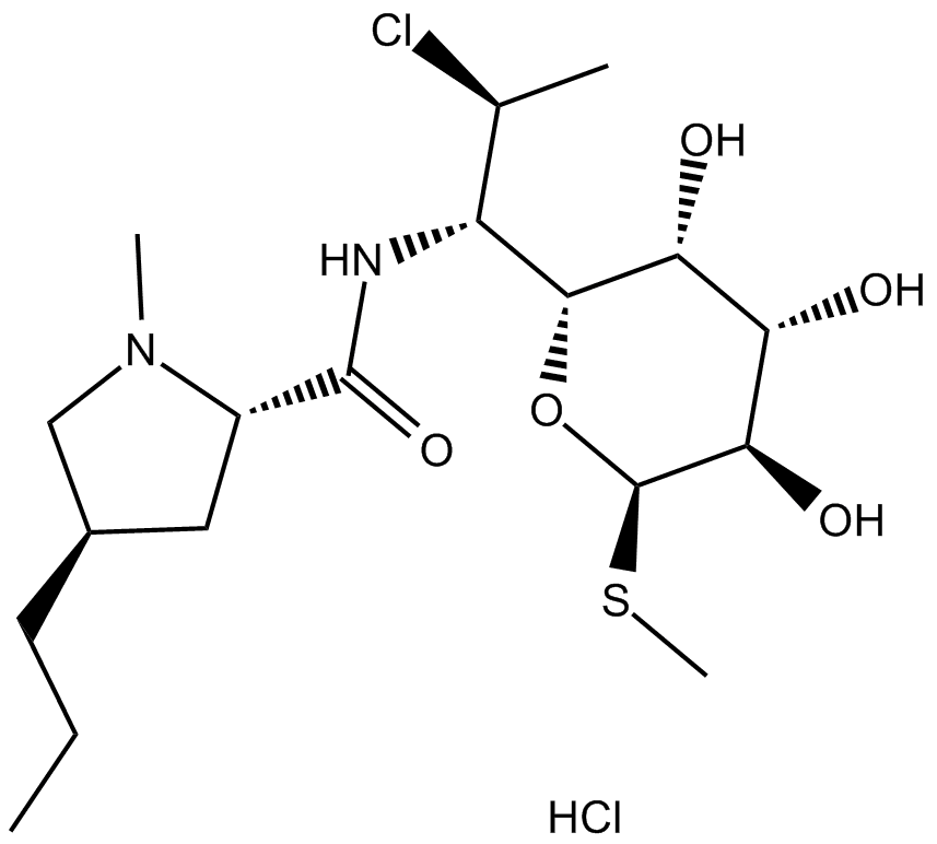 Clindamycin HCl