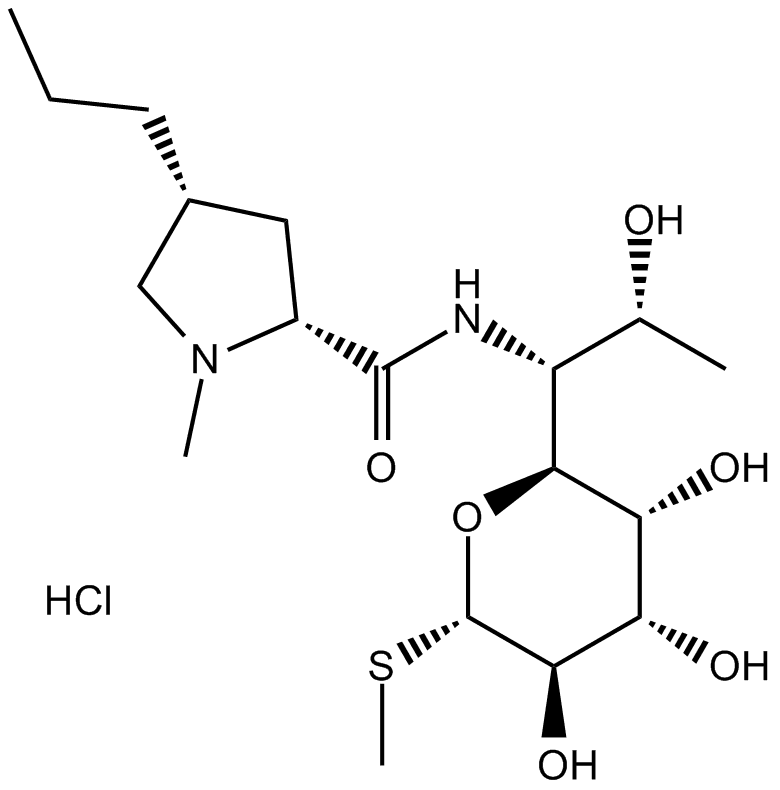 Lincomycin HCl