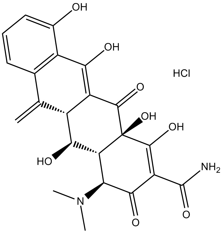 Methacycline HCl