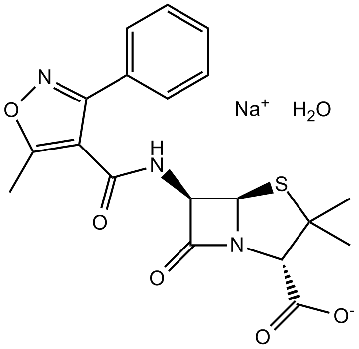 Oxacillin sodium monohydrate