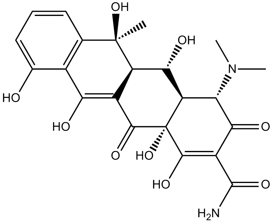 Oxytetracycline (Terramycin)