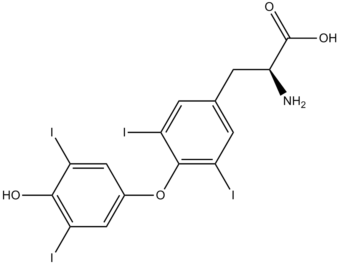 L-Thyroxine