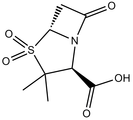 Sulbactam