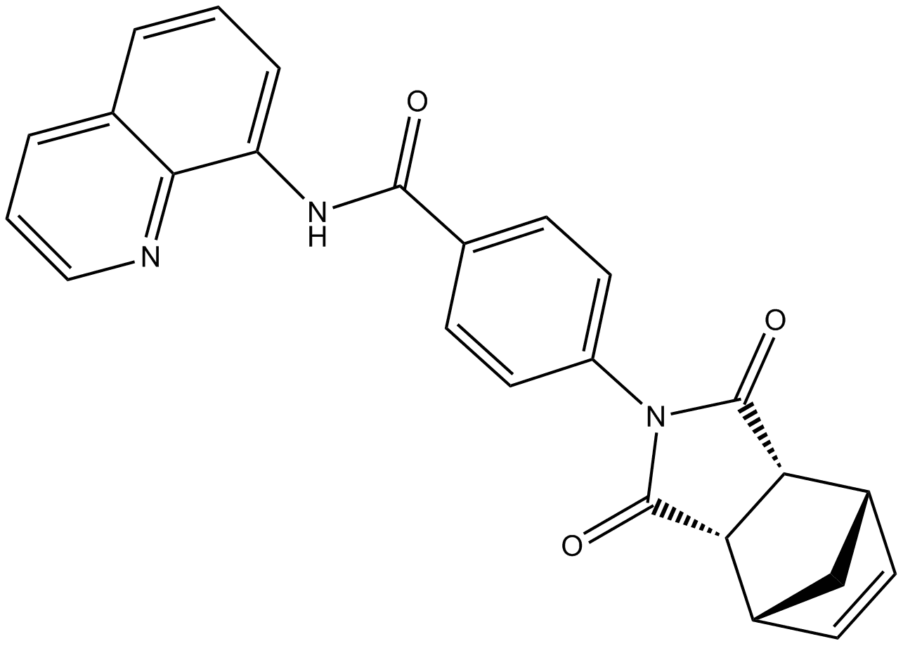 IWR-1-endo