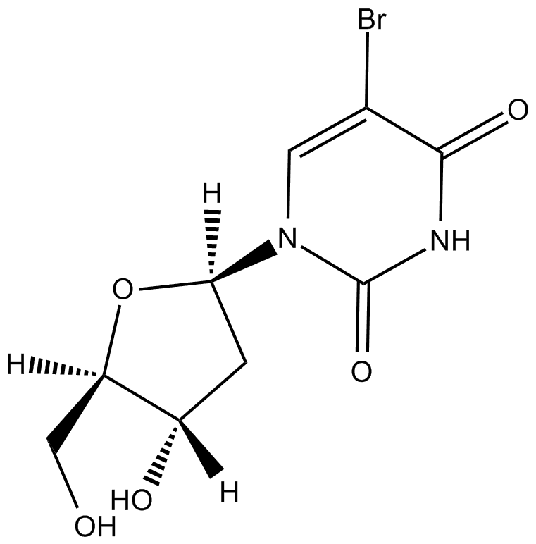 5-BrdU