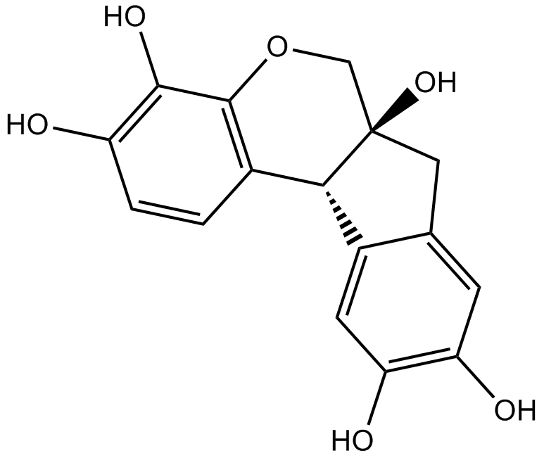 Hematoxylin