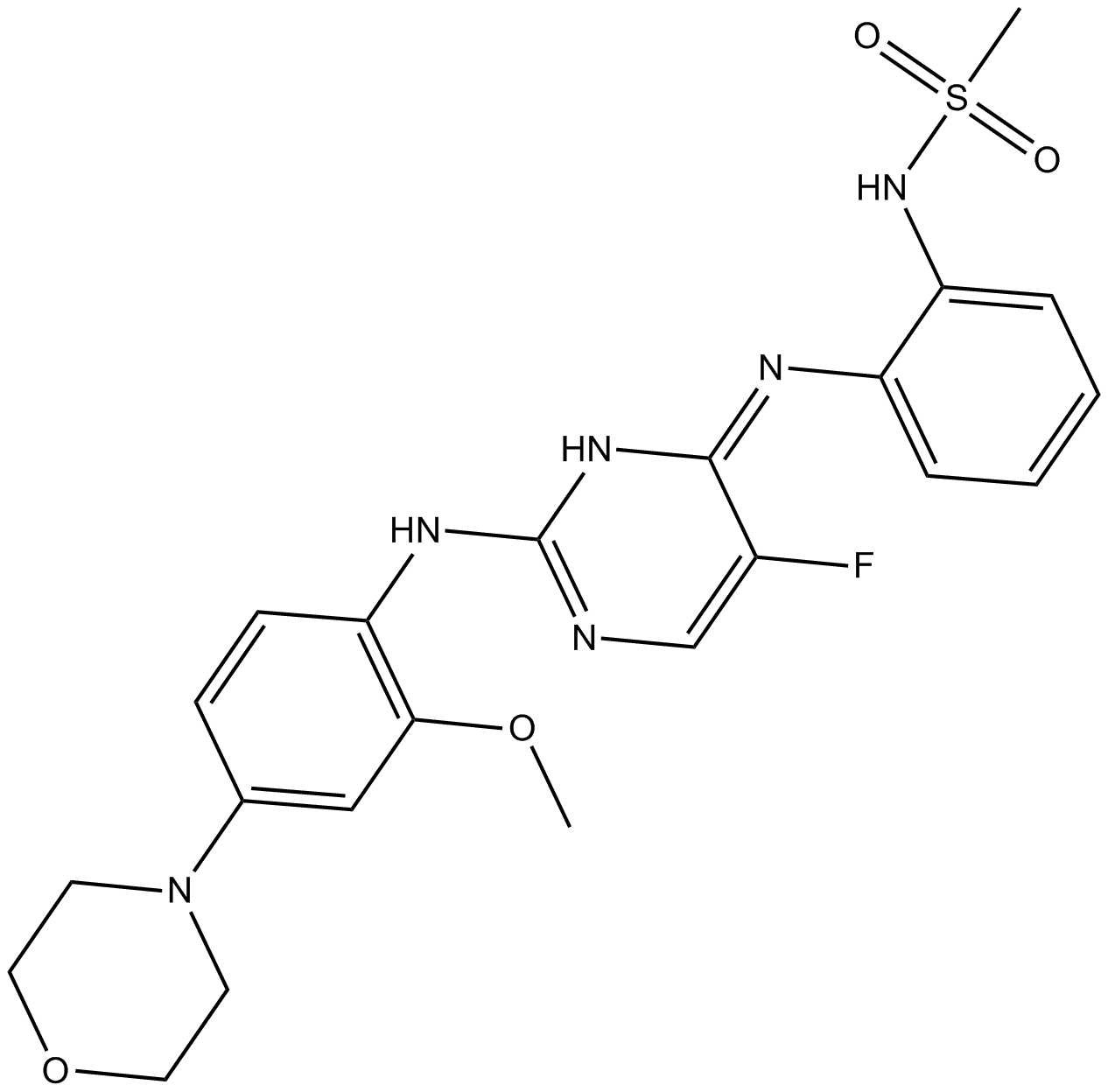 CZC-25146