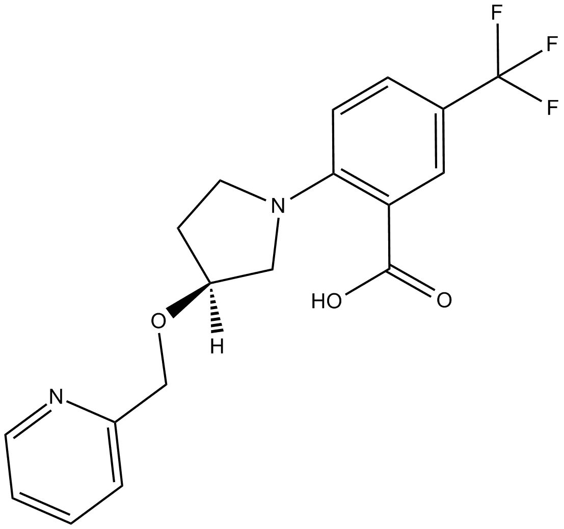 XEN445