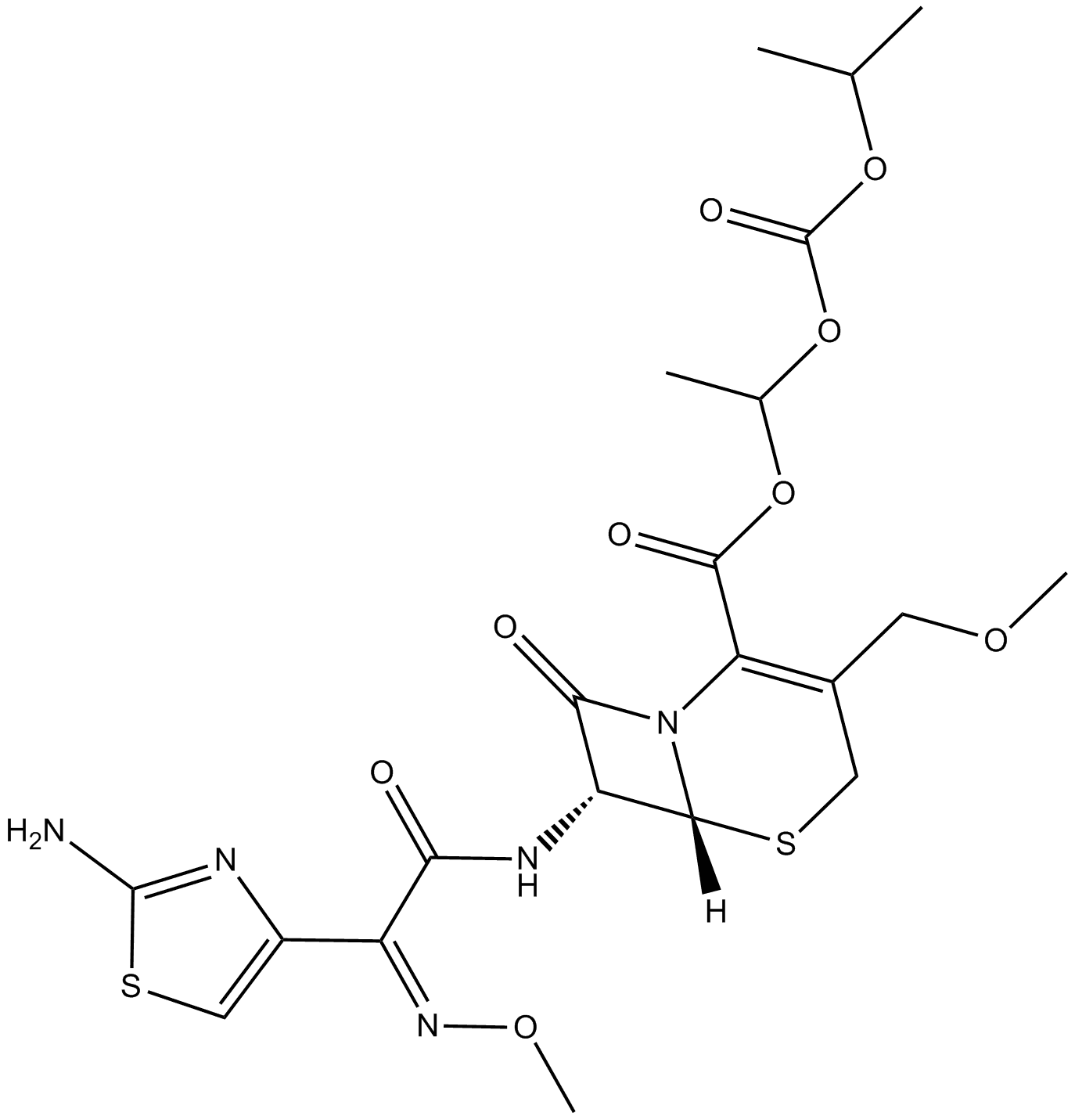 Cefpodoxime Proxetil
