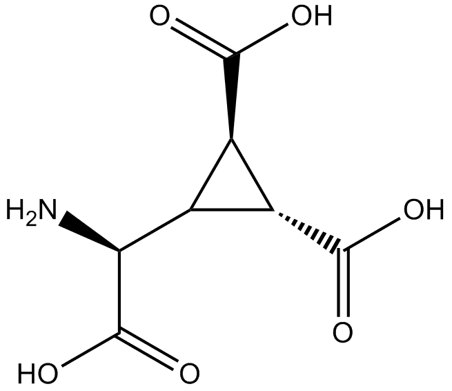 DCG IV