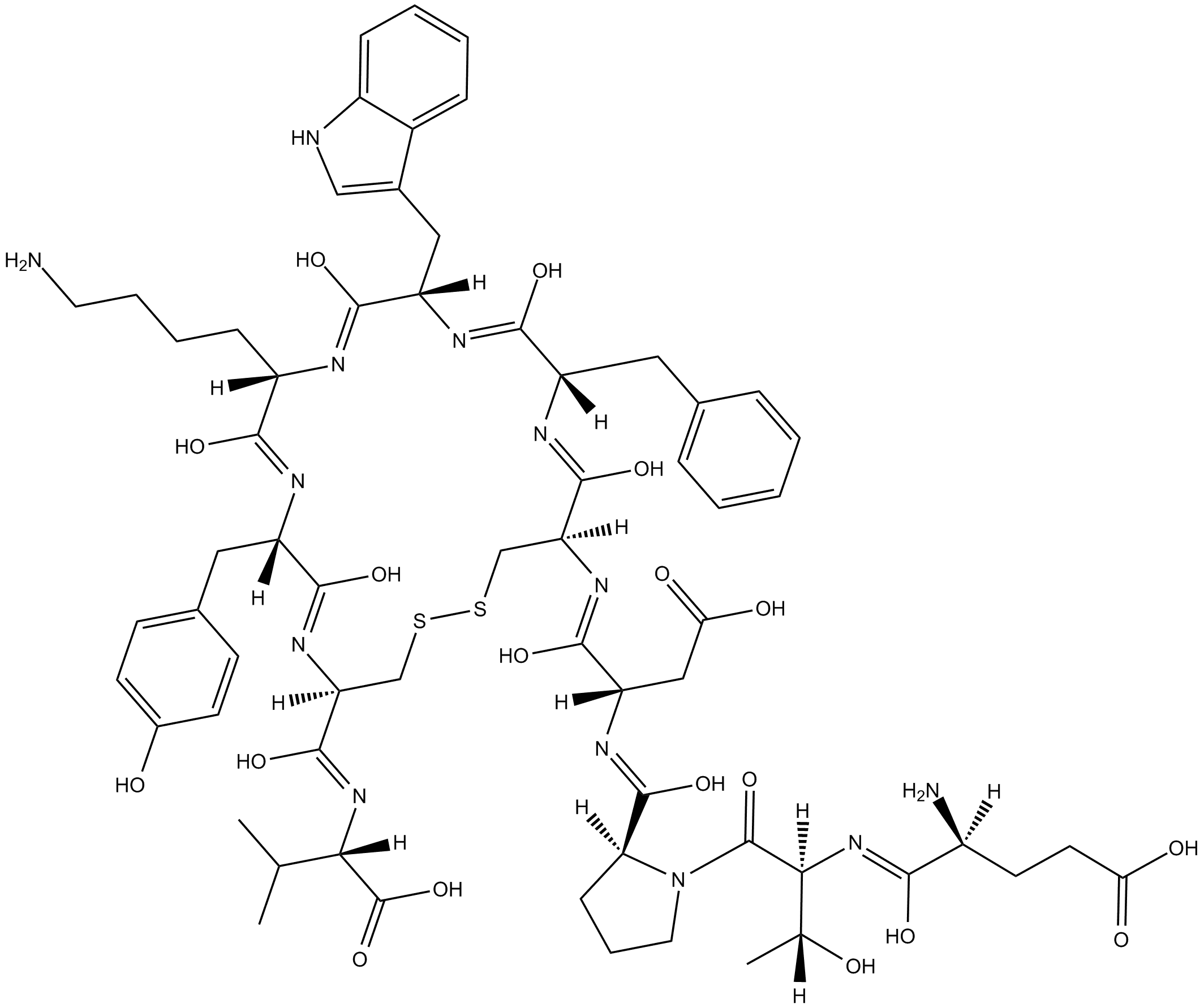 Urotensin II (human)
