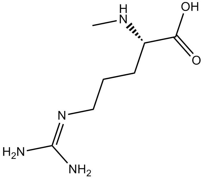 N2-Methyl-L-arginine