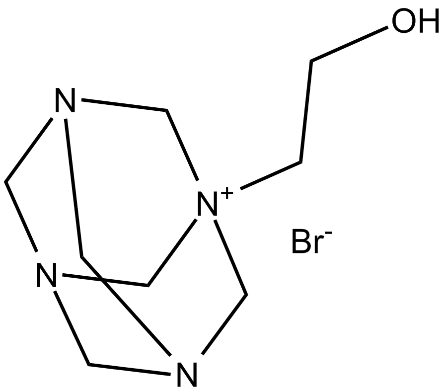 Y 11