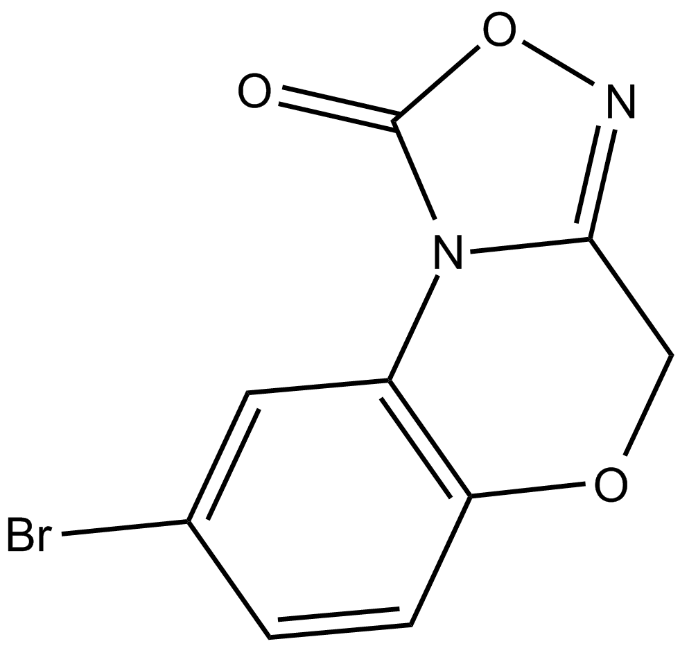 NS 2028