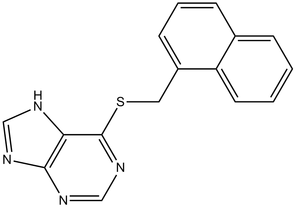 PU 02