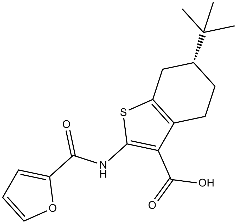 CaCCinh-A01