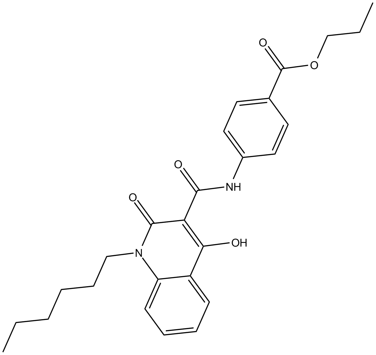 GSA 10